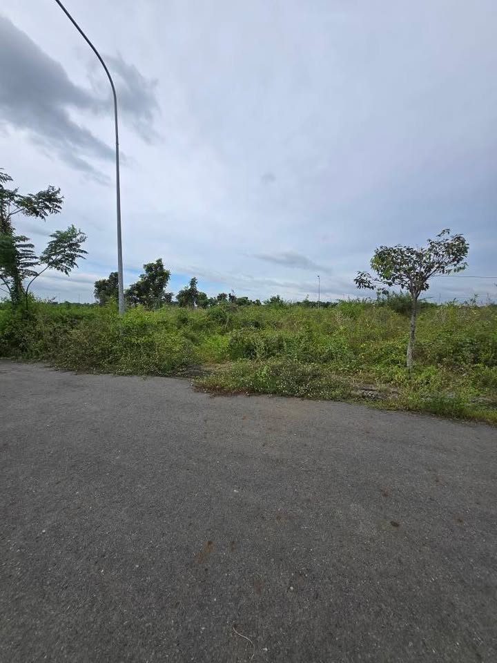 Đất nền chính chủ tại Phường Tam Long 118.8m² giá 1.25 tỷ - Đường rộng xe hơi vào tận nơi!