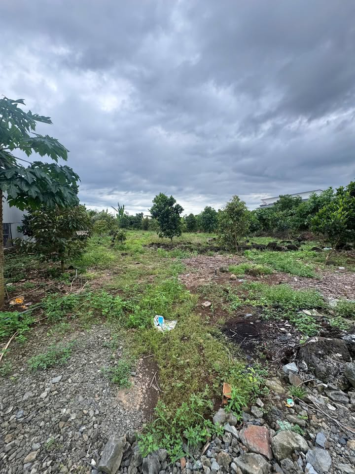 Đất nền 1100m² Phú Vinh - Đồng Nai giá chỉ 800 triệu - Sổ đỏ chính chủ!