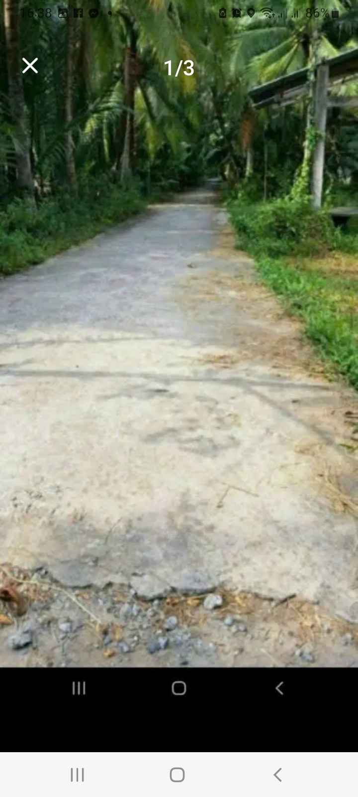 Đất nền Phú Hưng Bến Tre 606m² giá 800 triệu - Sổ đỏ chính chủ