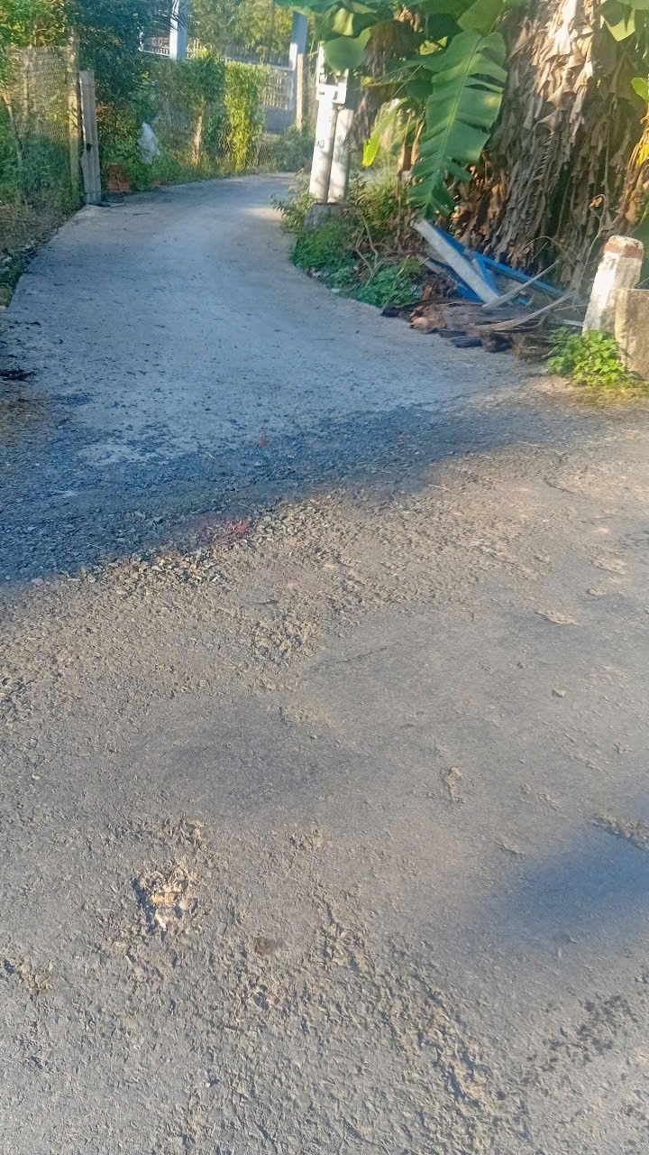 Đất nền thổ cư 206m² tại ấp Hoà Mỹ, giá chỉ 1.67 tỷ - Đầu tư sinh lời ngay!