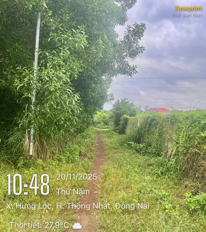 Đất vườn sầu riêng 2240m² xã Dầu Giây - Đường lớn xe tải vào tận nơi!