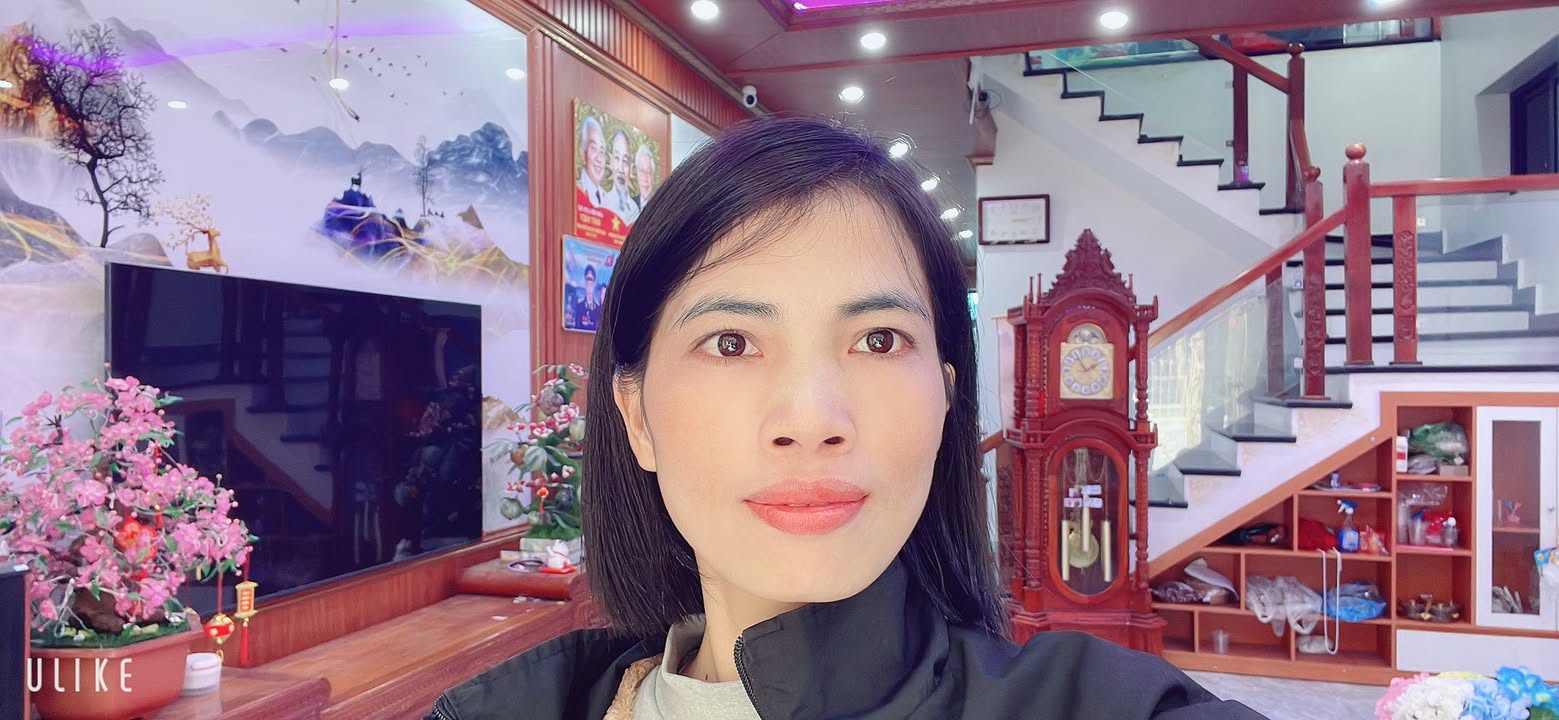 Đất tặng nhà 3 tầng tại Hương Đình, Sóc Sơn - Diện tích 260m², giá thỏa thuận!