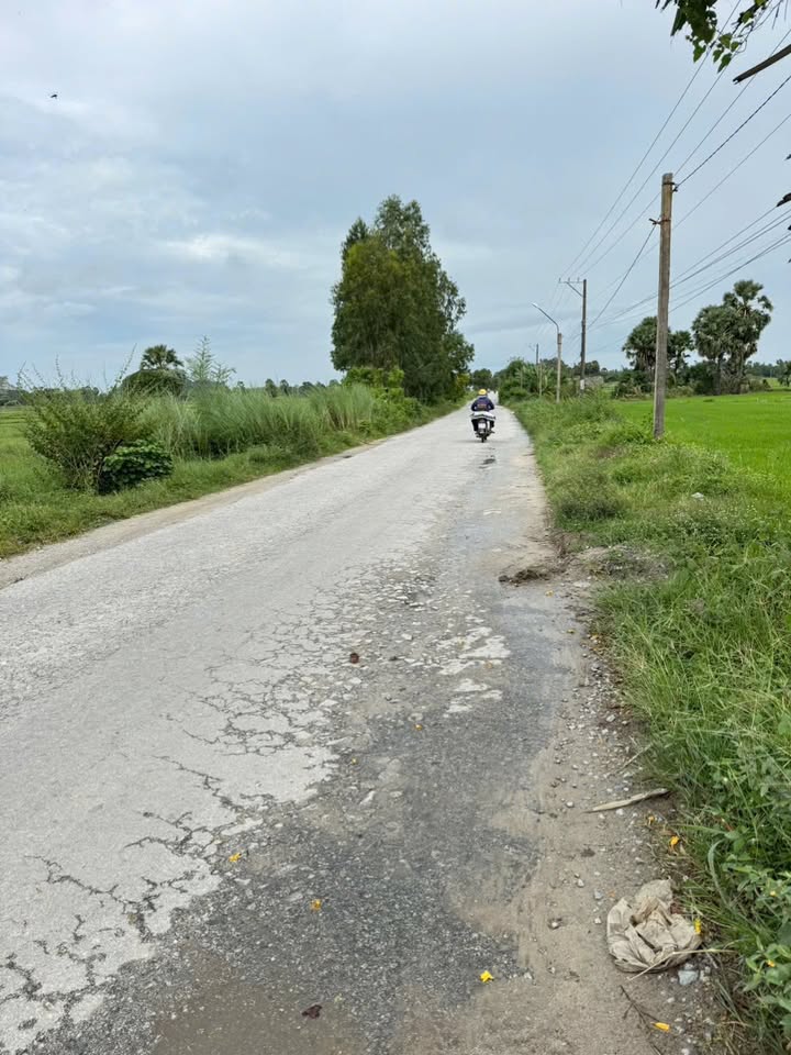 Đất nền mặt tiền Tỉnh lộ 959, xã Ô Lâm, 400m² - Giá ưu đãi cho nhà đầu tư!