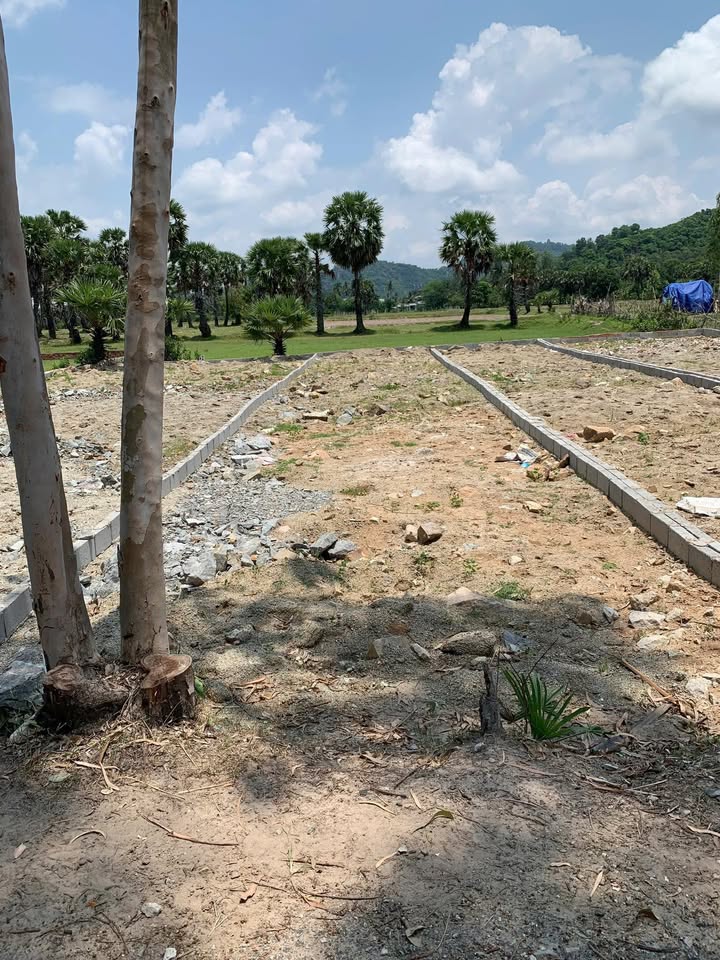 Đất nền Tân Lợi, Tịnh Biên 130m² giá 355 triệu - Cơ hội đầu tư hấp dẫn!