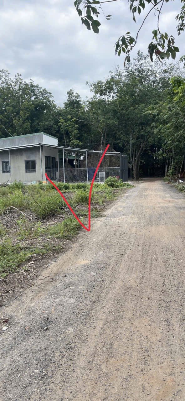 Đất nền Bến Cát 192m² giá 1.3 tỷ - Đầu tư lý tưởng cho xây trọ!