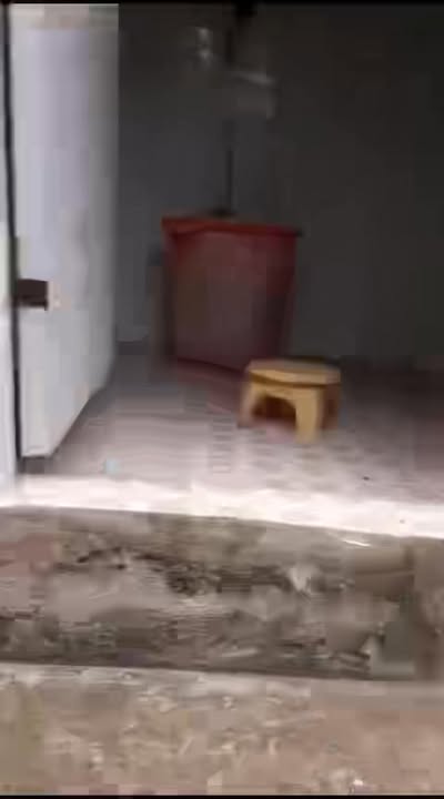 Nhà có đất 306m² tại Bình Quới, Cai Lậy - Giá 1.9 tỷ, Sổ hồng riêng!