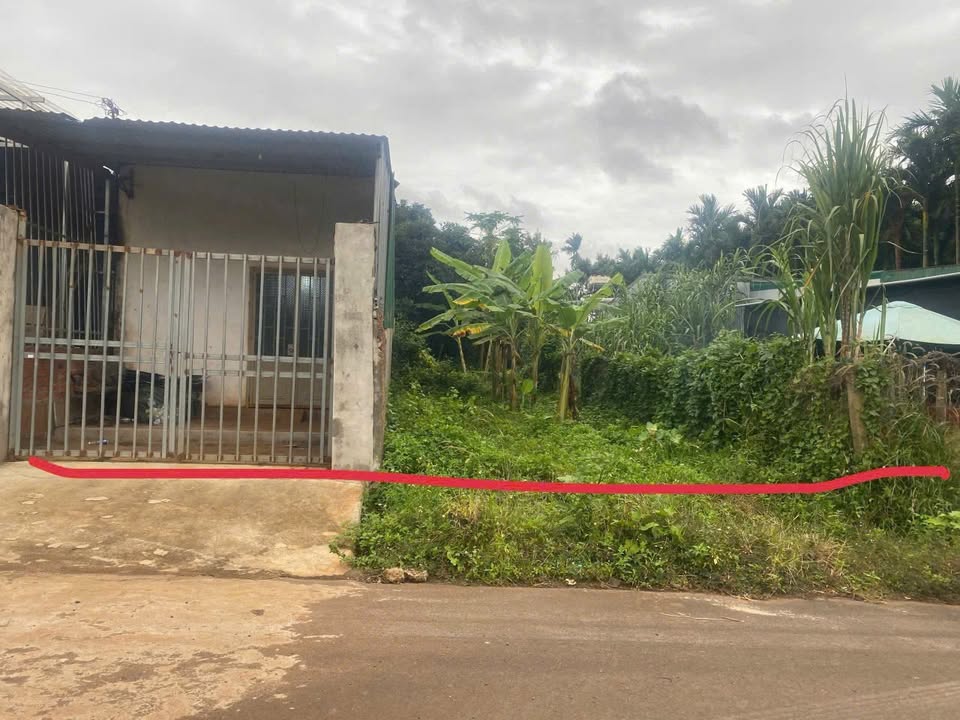 Đất nền mặt chính đường KomLeo, Tân Lập, 490.5m² - Giá chỉ 2.25 tỷ, thương lượng ngay!