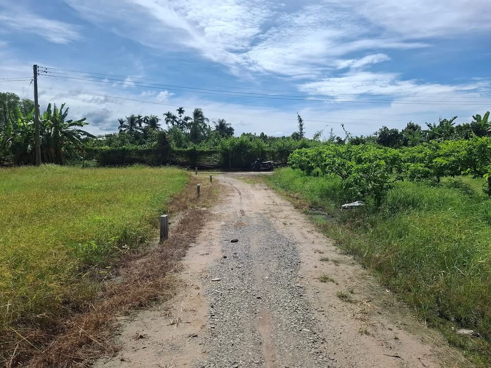 Đất thổ cư 130m² Dương Minh Châu giá chỉ 210 triệu - Cơ hội đầu tư hấp dẫn!