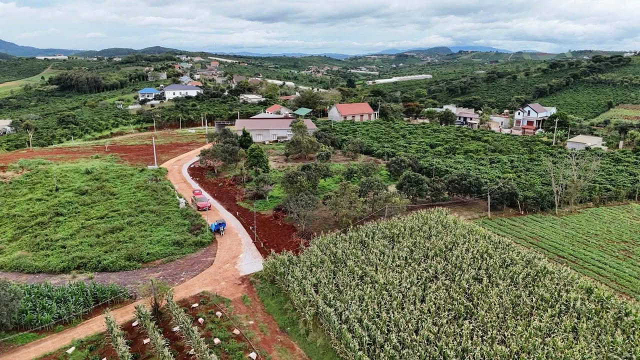 Đất nền F0 Lâm Hà 193m² giá 750 triệu - Nền đẹp, vị trí đắc địa!