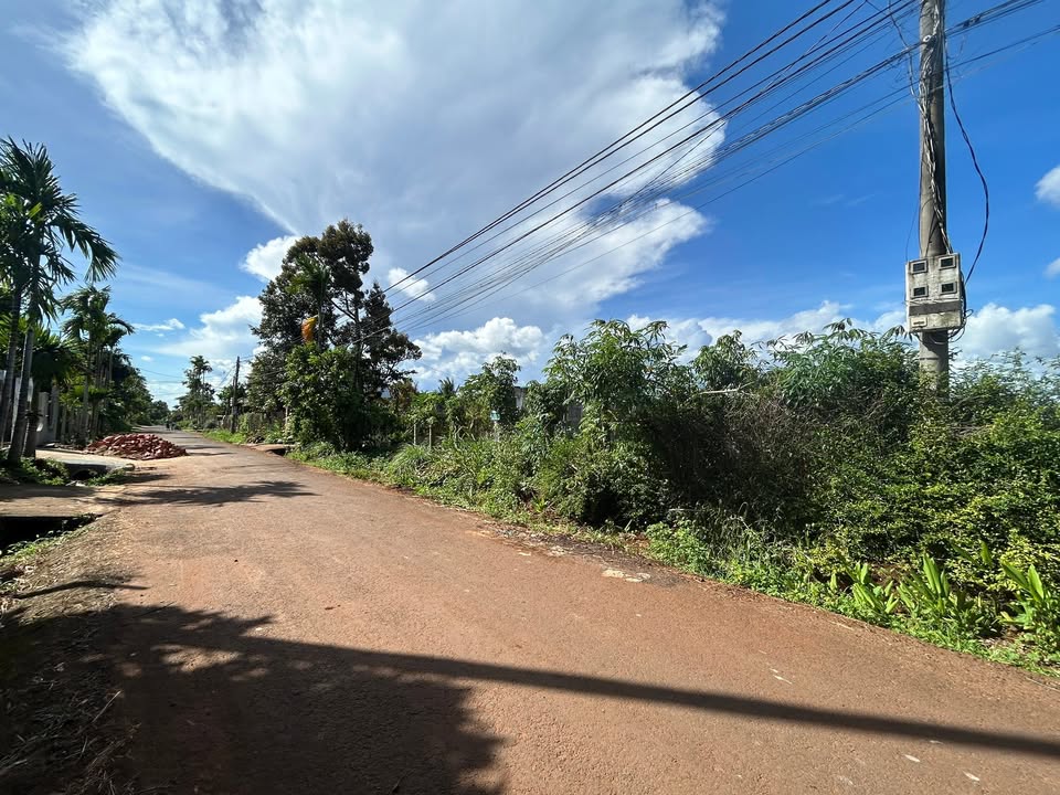 Đất mặt tiền đường nhựa 10KC TDP Kiên Cường 540m² giá 1.6 tỷ - Đầu tư sinh lời ngay!