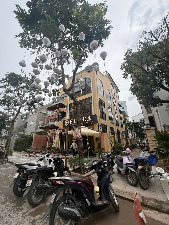 Biệt thự lô góc KĐT Mỗ Lao 225m² giá 39 tỷ - Đầu tư sinh lời và tiện nghi!