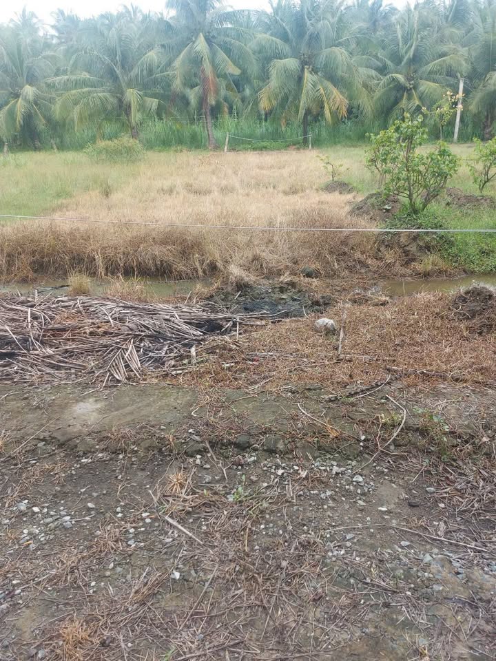 Đất nền 2 mặt tiền đường bê tông 150m² giá 350 triệu - Cơ hội đầu tư hấp dẫn!