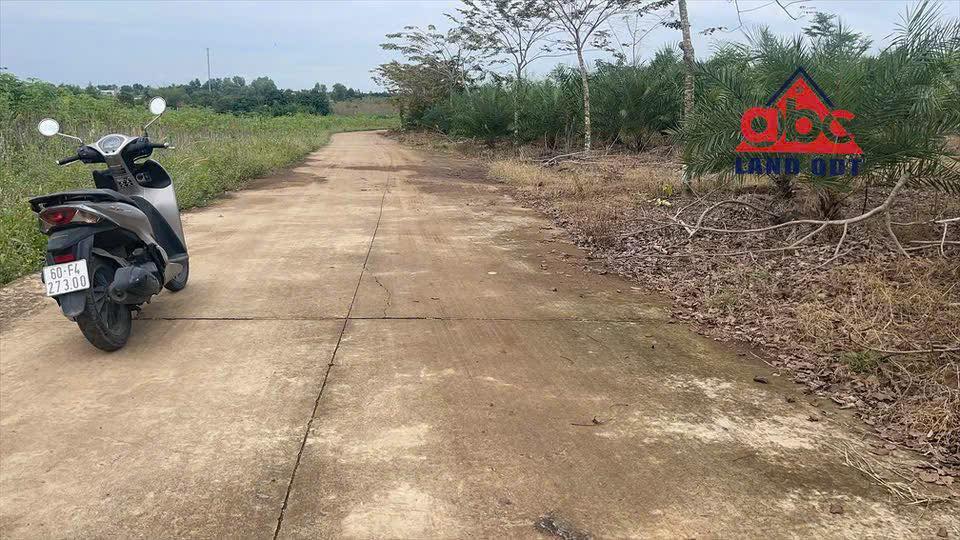 Đất Hưng Thịnh Trảng Bom 4.769m² giá 6 tỷ - Sổ riêng, vị trí đẹp!