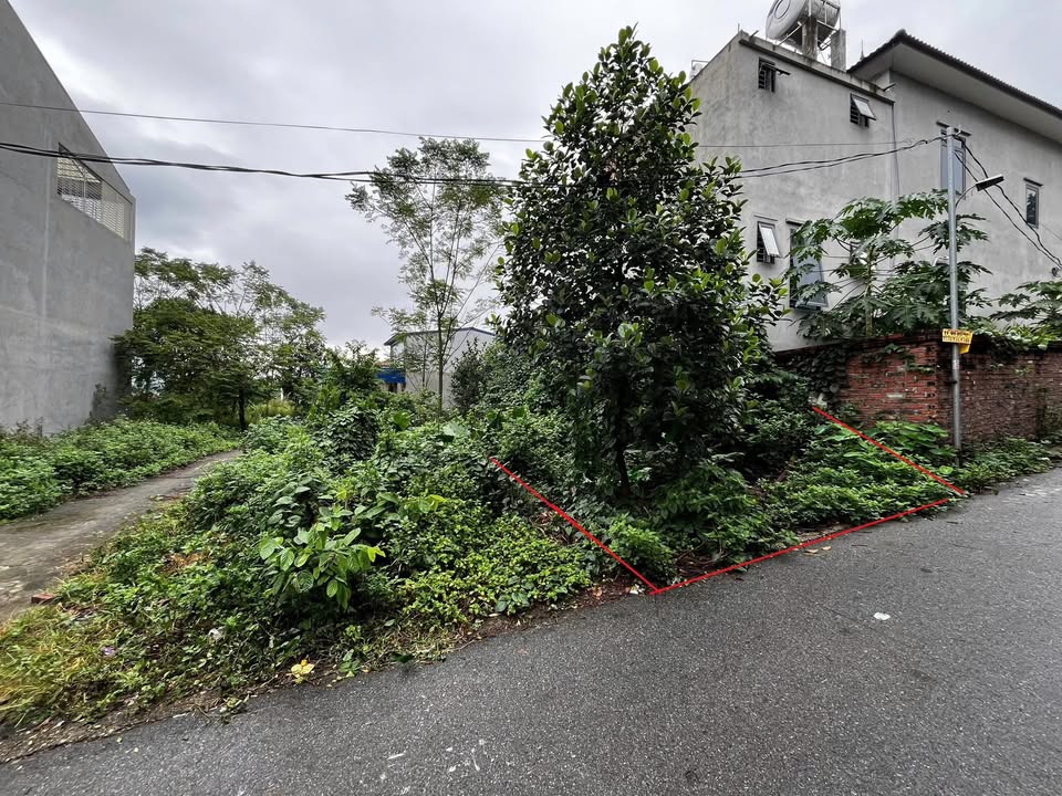 Đất thổ cư Hương Sơn Bình Xuyên 100m² giá 1.3 tỷ - Cơ hội đầu tư hiếm có!