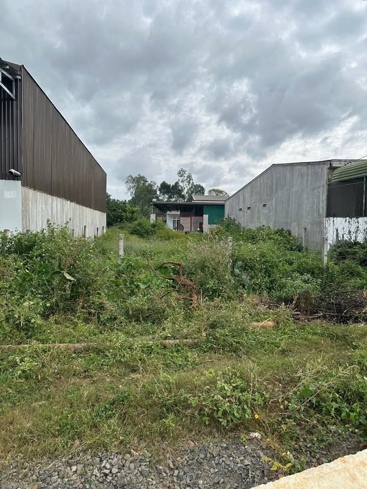 Bán đất mặt tiền đường Vành Đai 14-26, Tân An, 242m² chỉ 5.7 tỷ - Cơ hội đầu tư hấp dẫn!