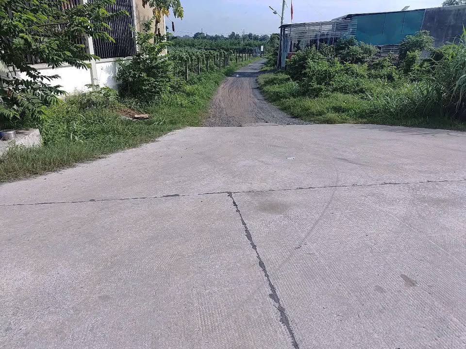 Đất nền Tân An Hội Củ Chi 206m² giá 1.65 tỷ - Tặng cơ hội đầu tư!