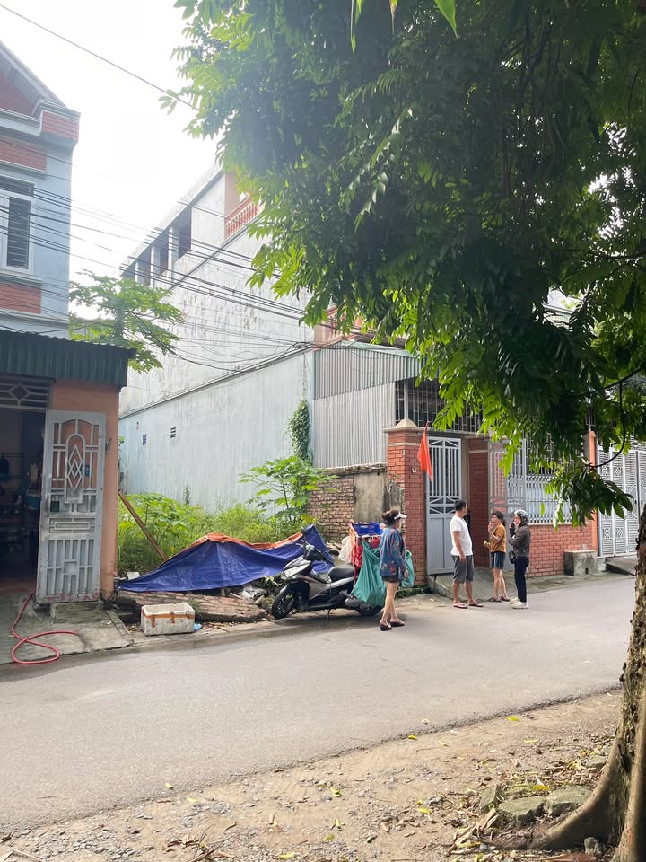 Đất nền 100m² phố Đông Sơn, Việt Trì - Giá chỉ 3.1 tỷ, đầu tư sinh lời!