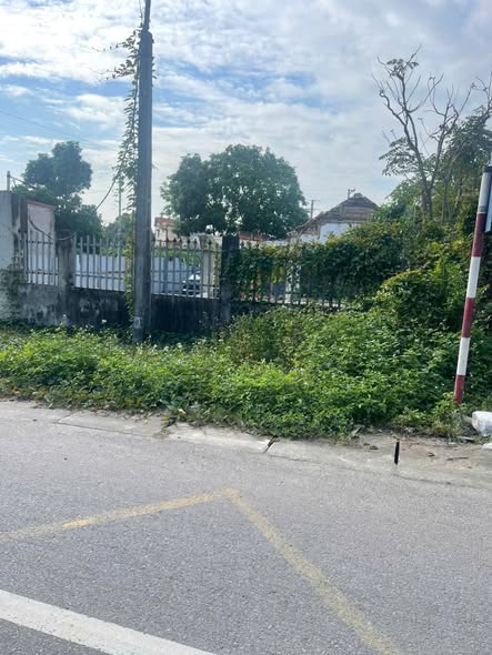 Đất nền mặt đường TL295, Đông Xuyên, Hiệp Hòa 380m² giá 7.9 tỷ - Cơ hội đầu tư tuyệt vời!