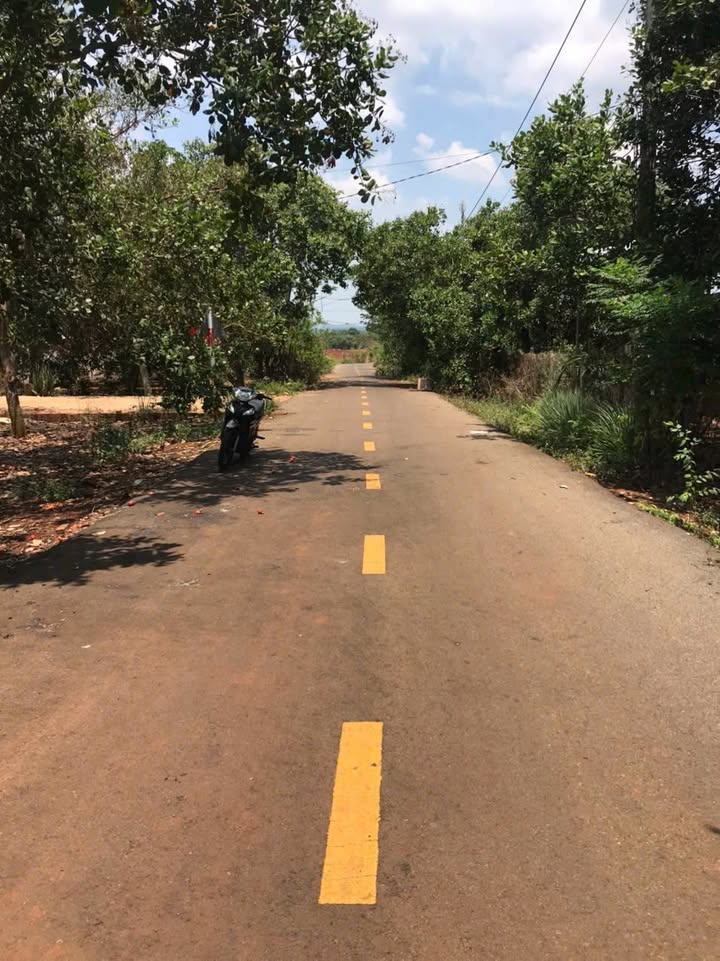 Đất nền Bàu Lâm, Xuyên Mộc 651m² giá 1.86 tỷ - Cơ hội đầu tư sinh lời