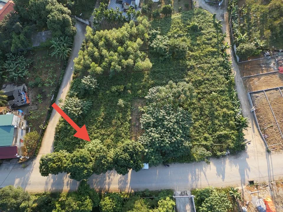 Đất nền Tu Vũ, Thanh Thủy 108.6m² giá 1 tỷ - Cơ hội đầu tư cực hiếm!