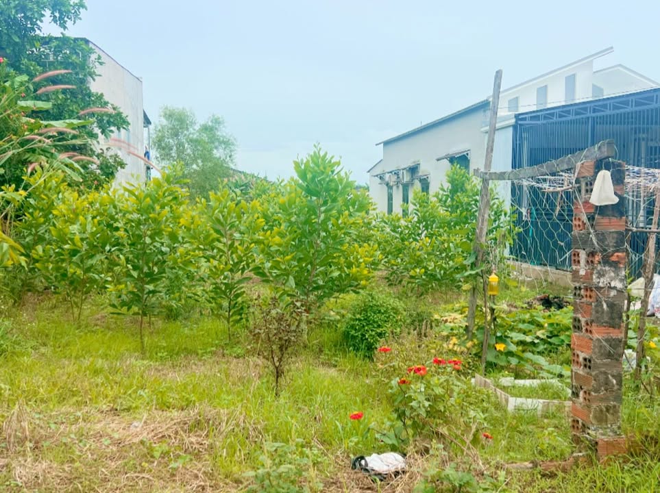 Đất nền Xuân Tâm 220m² giá 80 triệu - Sổ đỏ chính chủ, vị trí đắc địa!