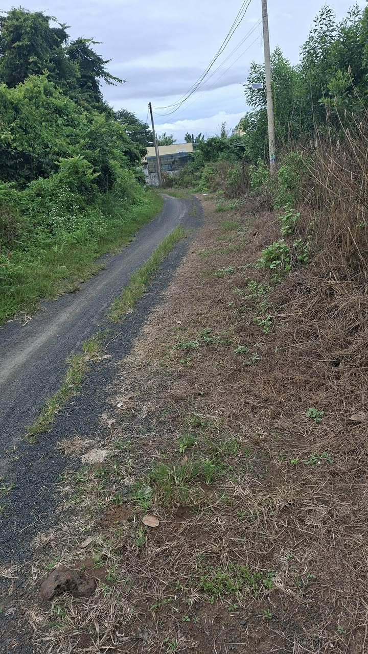 Đất thổ cư Xuân Lộc 210m² giá chỉ 600 triệu - Cơ hội đầu tư hấp dẫn!