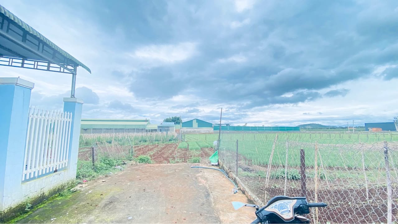 Nhà tiền chế Liên Nghĩa Đức Trọng 116m² giá 1,2 tỷ - Mặt tiền hẻm ô tô thoải mái!