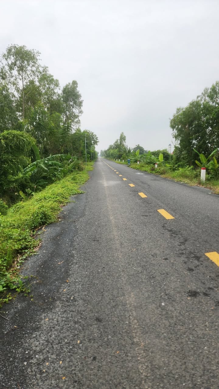 Đất nền Nhơn Hòa, Tân Thạnh, Long An 3040m² giá 1.25 tỷ - Đầu tư sinh lời ngay!