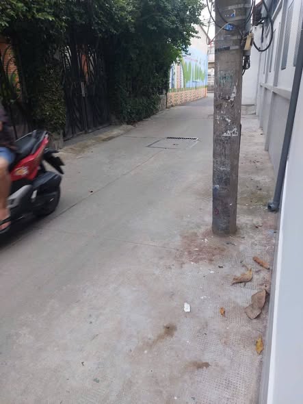 Nhà nguyên căn cho thuê tại phường 16, quận 8, 24m² - Giá chỉ 4.5 triệu/tháng!