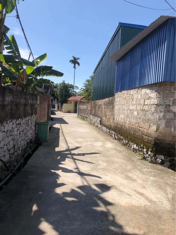 Đất Lô Góc Trúc Động, Lưu Kiếm 60m² giá chỉ 700 triệu - Đường ô tô vào tận nơi!