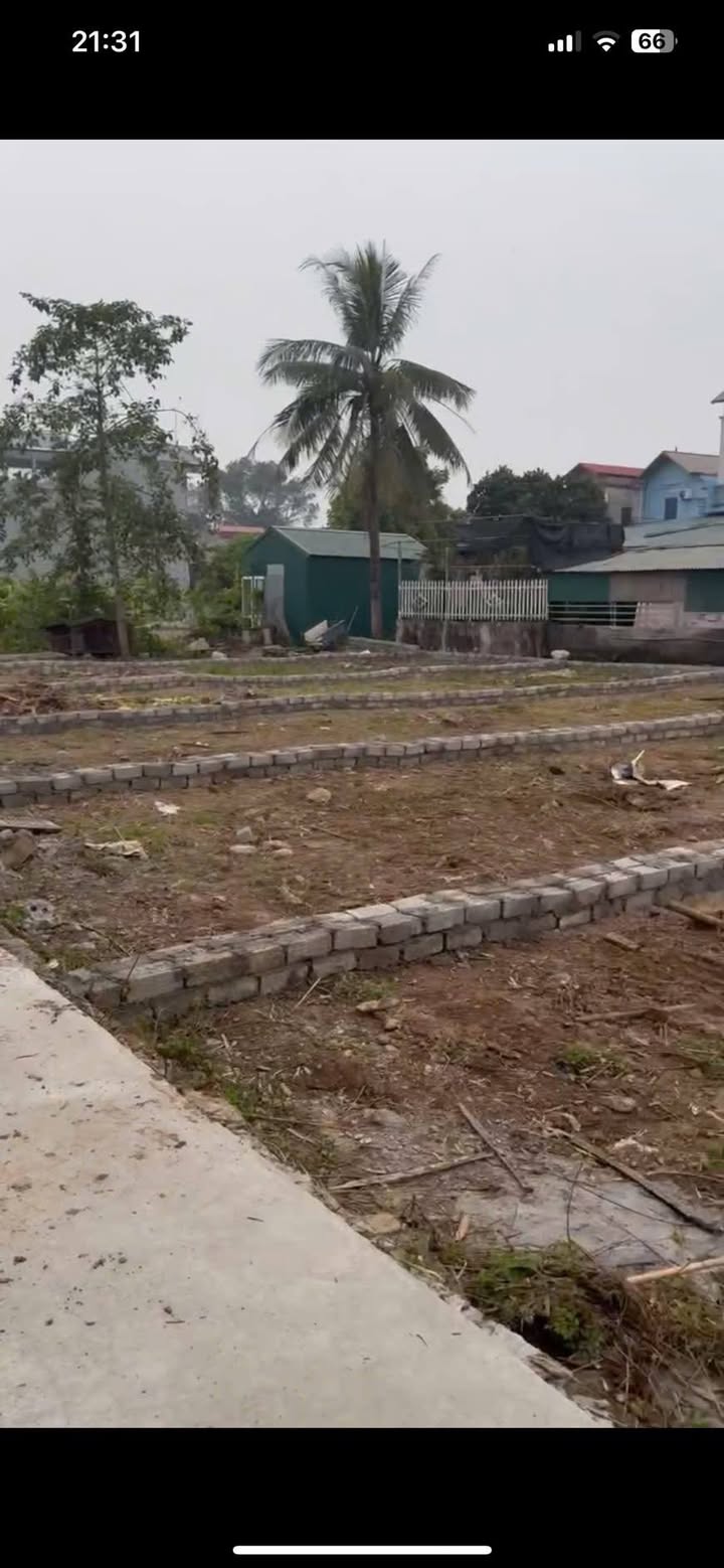 Đất nền Tân Ước Thanh Oai 101m² giá 4.133 tỷ - Đầu tư sinh lời ngay!