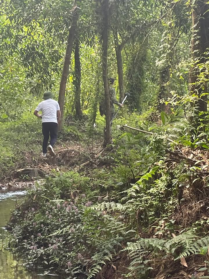 Đất Farm Phúc Tân 2,5ha giá 3 tỷ - Cơ hội đầu tư hấp dẫn!