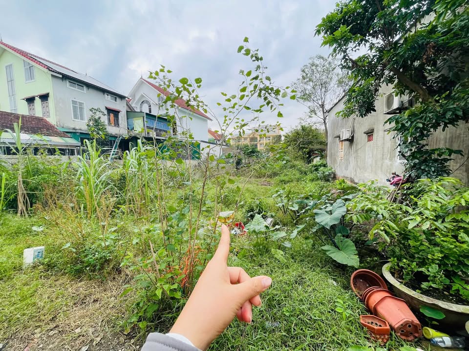 Đất nền Ngõ Tuệ Tĩnh, Hà Huy Tập 85m² giá 2.2 tỷ - Vị trí trung tâm an ninh tốt!