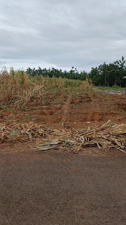 Đất nền Tân Tiến, Bù Đốp 1000m² giá 265 triệu - Đầu tư lý tưởng!