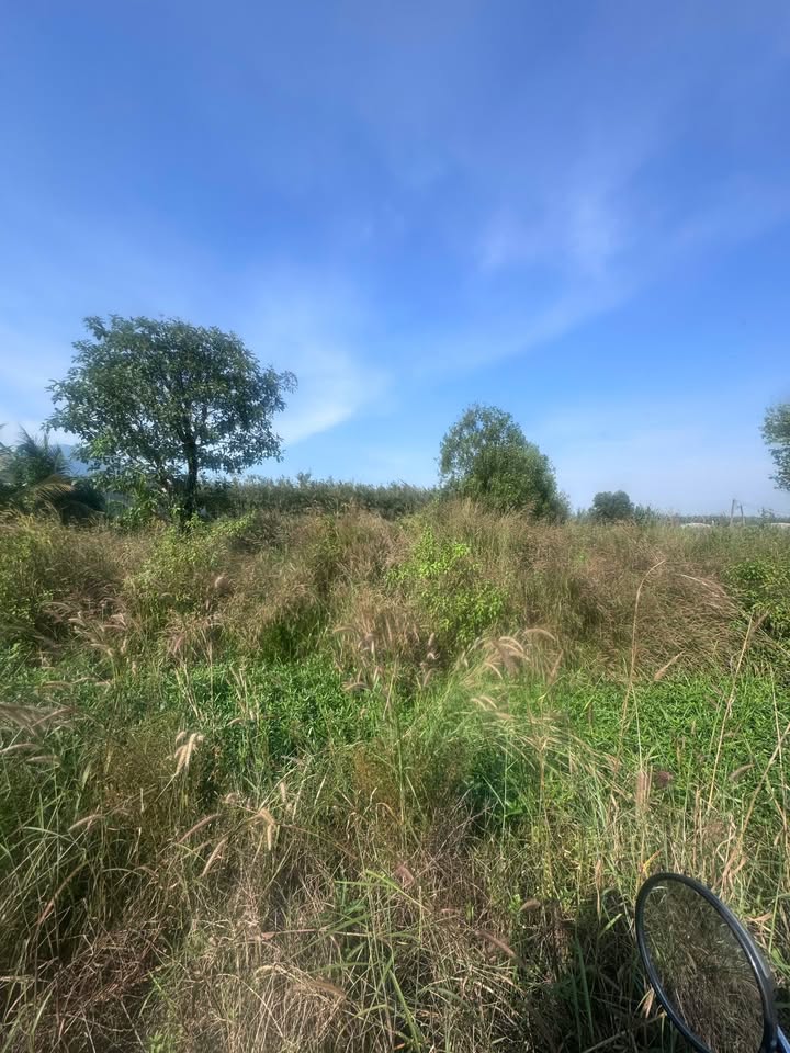 Đất trồng lúa 2 mặt tiền xã Phan Dương Minh Châu 20000m² giá chỉ 1 tỷ - Cơ hội đầu tư tuyệt vời!