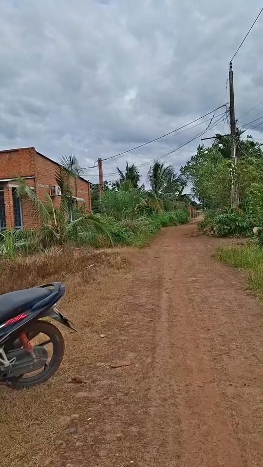 Đất thổ cư 1000m² tại Xã Tân Phú, Tây Ninh - Mặt tiền đường quy hoạch 20m chỉ 650 triệu!