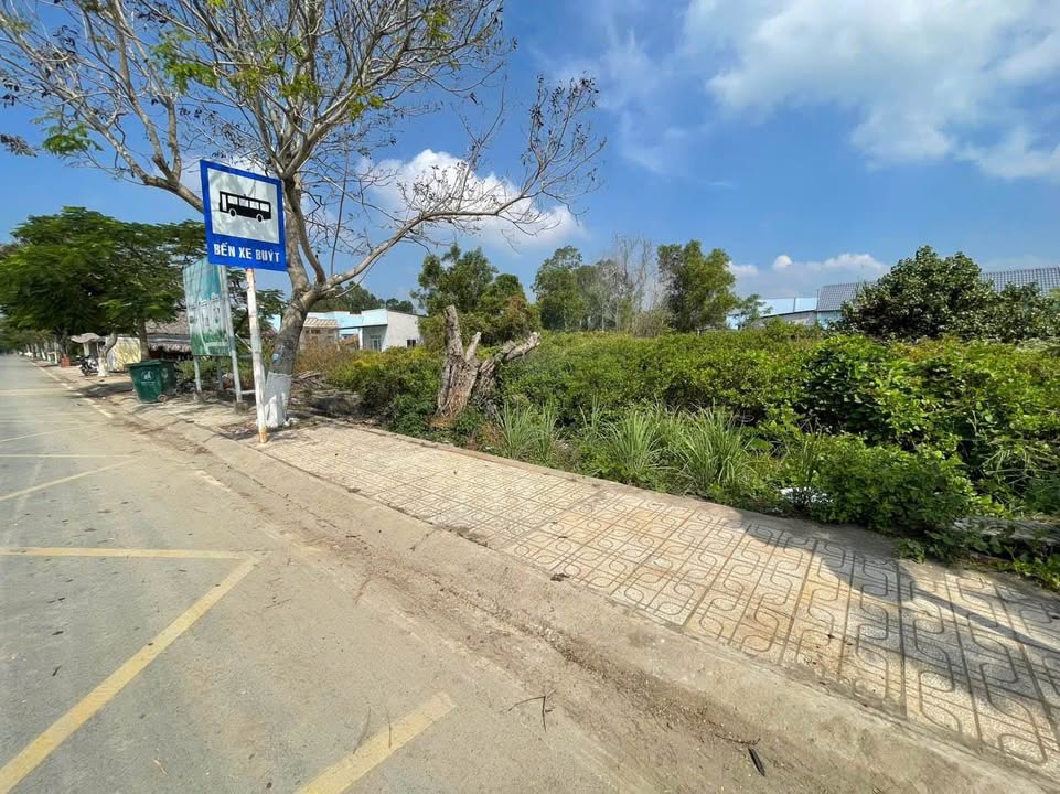 Đất thổ cư Lý Nhơn Cần Giờ 1593m² giá 17 triệu/m² - Đầu tư sinh lời ngay!