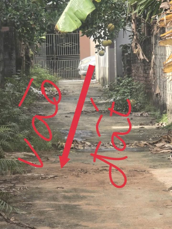 Đất đẹp Bột Xuyên 79.3m² giá 1.3 tỷ - Ô tô đỗ cửa, gần trường, chợ