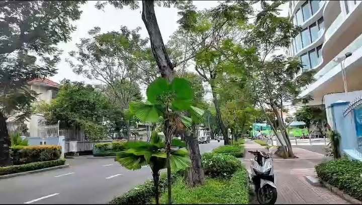 Biệt thự mặt tiền Trương Định Quận 3 817m² giá 650 tỷ - Cơ hội đầu tư vàng!