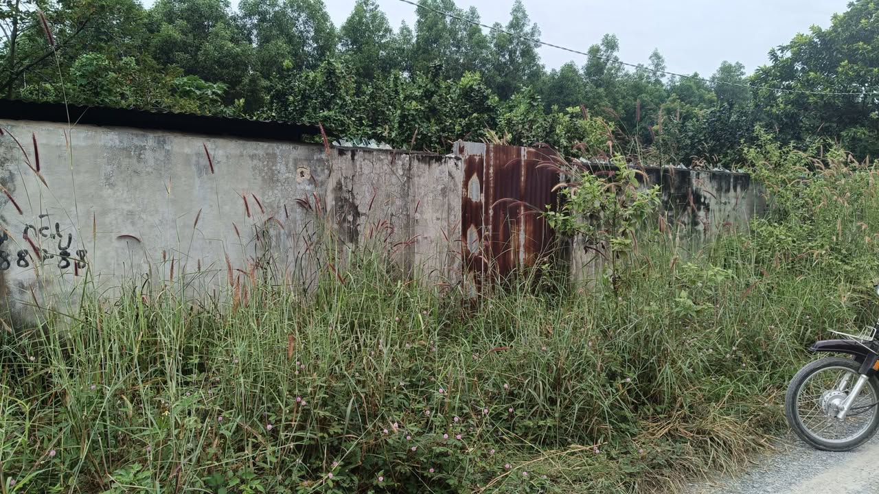 Đất nền Tân Bình Vĩnh Cửu 1400m² giá 3.8 tỷ - Đầu tư sinh lời hiệu quả!