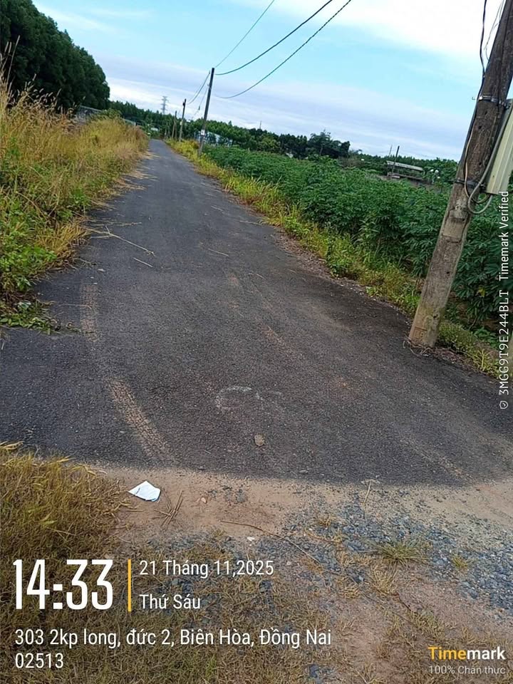 Đất nền 150m² đường Hàm Nghi, Biên Hòa chỉ 985 triệu - Cơ hội đầu tư lý tưởng!