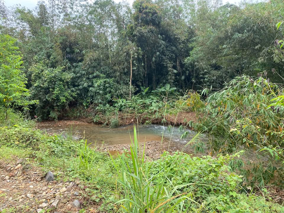 Đất Farm Nghị Đức 3600m² giá 230 triệu - Đầu tư sinh lời ngay!