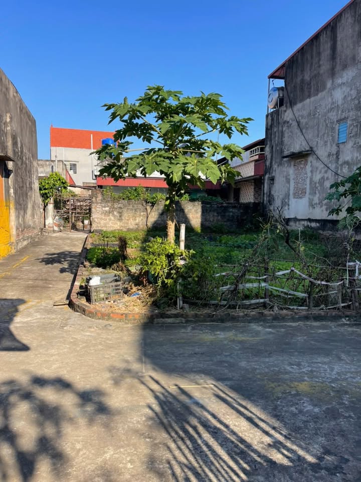 Đất nền lô góc Cẩm Phúc 110m² giá 1 tỷ - Vị trí đắc địa, thuận tiện giao thông!