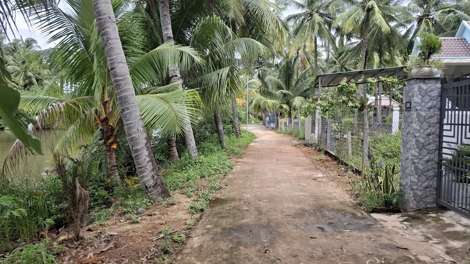 Đất thổ cư Cửu Lợi Nam, Tam Quan Nam 117m² - Giá chỉ 260 triệu!