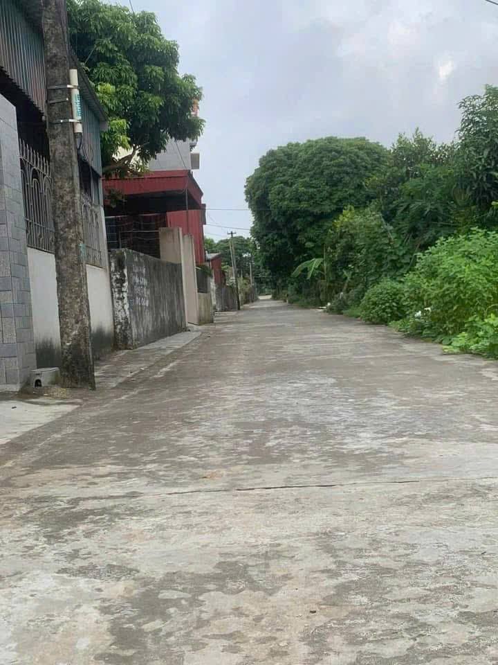 Đất nền Hồng Phong, Nam Sách 333m² giá chỉ 2.2 tỷ - Cơ hội đầu tư tuyệt vời!