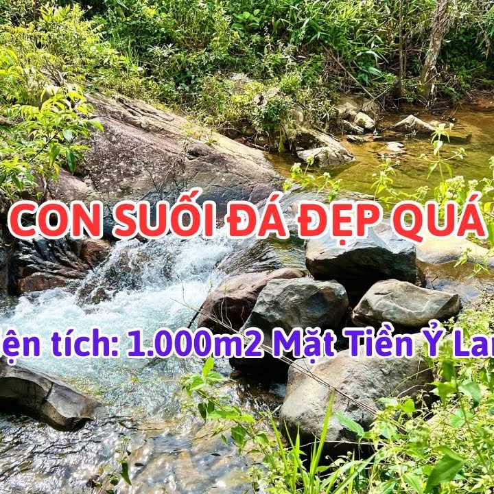 Đất nền Bảo Lộc 1.000m² giá 1.9 tỷ - Cơ hội đầu tư tuyệt vời!