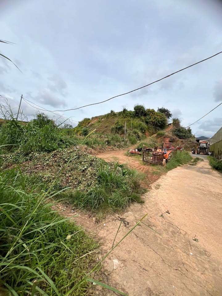 Đất Phước Thành, Đà Lạt 200m² giá 6.2 tỷ - Đầu tư sinh lời ngay!