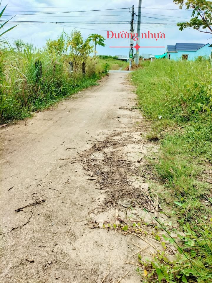 Lô đất nền đẹp tại phường Sơn Quy Gò Công 80m² giá chỉ 550 triệu - Cơ hội đầu tư tuyệt vời!