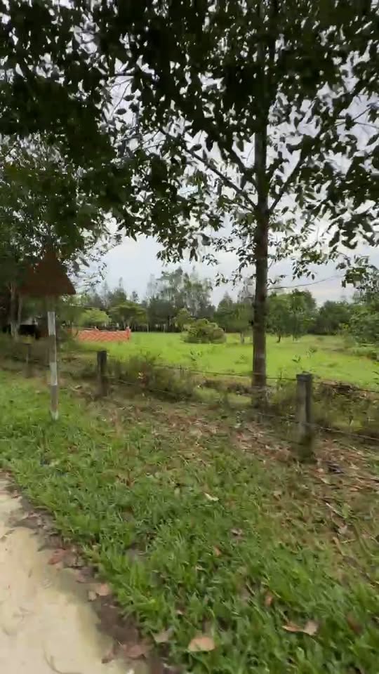 Đất thổ cư xã Hương Xuân 2640m² giá chỉ 100 triệu - Cơ hội đầu tư tuyệt vời!