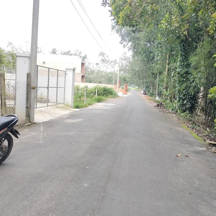 Đất thổ cư Chánh Phú Hòa, Bến Cát 195m² giá 1 tỷ - Đầu tư sinh lời cao!